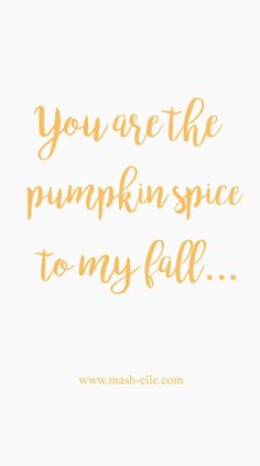 the words you are the pumpkin spice to my fall