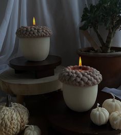 two white pumpkins sitting on top of a wooden table next to other small pumpkins