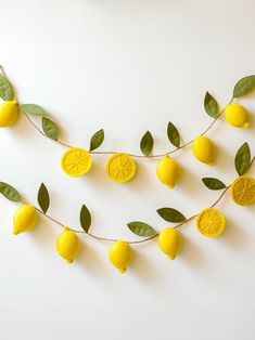 some lemons and leaves are hanging on a string