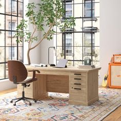 an office area with a desk, chair and plant in the middle of the room