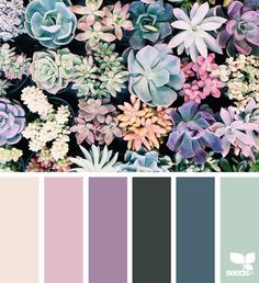 a color palette with succulents and other plants