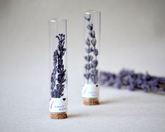 two glass vases with lavender flowers in them