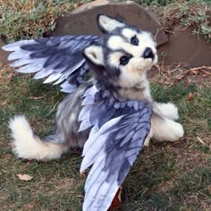 a stuffed animal that is sitting on the ground with its wings spread out and eyes wide open