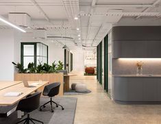 an office with desks, chairs and plants