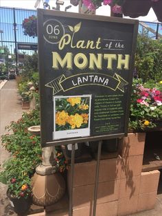 a sign that says plant of the month in front of some flowers