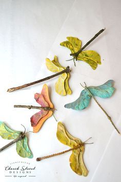 five different colored butterflies are on the table