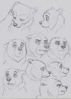 several drawings of bears with different facial expressions