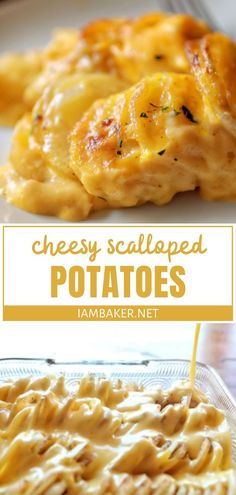 cheesy scalloped potatoes on a white plate with text overlay that reads, cheesy scalloped potatoes