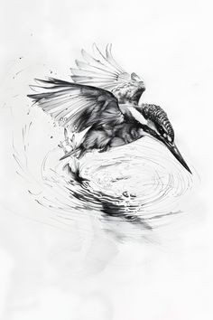 a black and white drawing of a bird in the water with its wings spread out