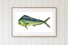 a watercolor painting of a fish on a white wall