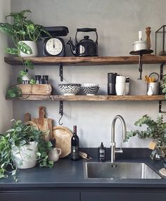 an instagram page with plants on shelves above a kitchen sink and countertop area