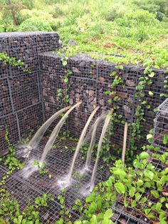 the water is flowing out of the hole in the garden