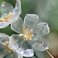 three clear glass flowers with tiny yellow centers