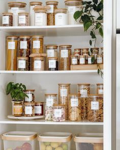 organized pantry jars Open Pantry, Pantry Inspiration, Space Optimization, Room Arrangement, Space Organization, Space Efficiency, Pantry Organisation, Desain Pantry, Interior Organization