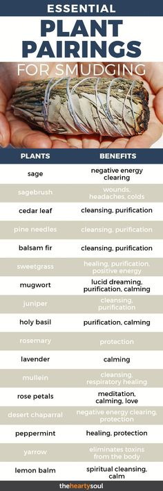 Smudging is the burning of sacred herbs either to achieve a level of spiritual purity and awareness… or simply because it smells incredible. Here are some great pairings and their supposed effects. #smudging #incense #spirituality #smudgesticks Plant Pairings, Plant Benefits, Herbal Magic, Healing Herbs, Smudge Sticks, Book Of Shadows, Natural Healing, Herbal Remedies