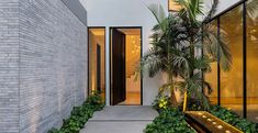 an entrance to a modern house with plants and trees