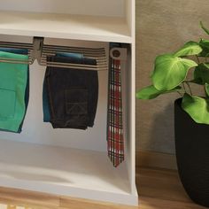 an open closet with ties and pants hanging on the wall next to a potted plant