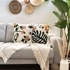 a living room filled with furniture and lots of plants