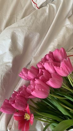 pink tulips are laying on a white sheet