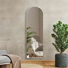 a mirror that is on the wall next to a chair and potted plant in front of it