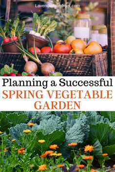 How to plan a successful and prolific vegetable garden this spring Planning A Garden, Spring Gardening, Future Garden, Seed Starter