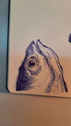 a drawing of a fish with an eye in it's mouth is shown on a piece of paper