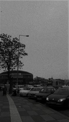 black and white photo of cars parked on the side of a road next to a tree