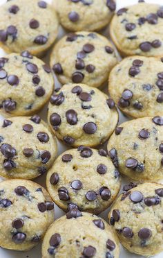 chocolate chip muffins on a white plate ready to be eaten for breakfast or dessert