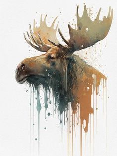 a moose's head with paint splatters on it