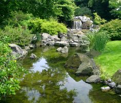 there is a small pond in the middle of some rocks and grass with water running through it