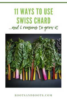 swiss chardishes with the title 11 ways to use swiss chardishes and 6 reasons to grow it