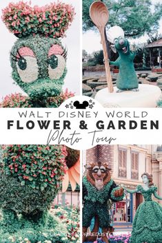 the flower and garden photos tour at walt's disney world is an incredible experience