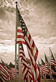 an american flag with the bible versed above it and several other american flags in the foreground