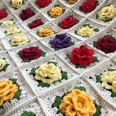 a crocheted blanket with multicolored flowers on it