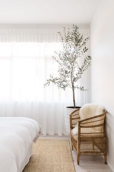 an image of a bedroom with a tree in the corner and white drapes on the window