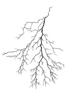 a black and white drawing of a tree branch