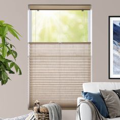 a living room scene with focus on the blinds