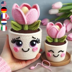 two crocheted potted plants with faces on them, one is pink and the other is green