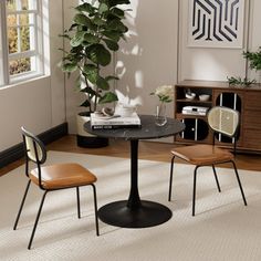 two chairs and a table in a room with a potted plant on the floor