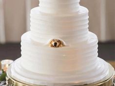 a wedding cake with a dog peeking out from under it