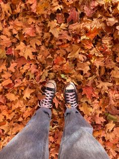 Autumn Shoes, Fall Mood Board, Fall Mood, Basic Shoes, Leaves Autumn, Simple Shoes, Aesthetic Fall, Fall Inspo, Fall Aesthetic