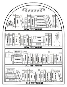 a book shelf filled with books and the names of different types of books on it