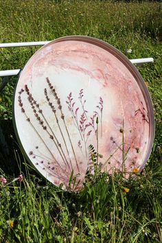 an old broken plate sitting in the grass