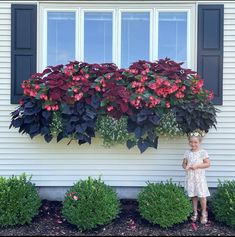 Planter Combinations, Coleus Containers, Gardening 2023, Paint Ideas Home, White Bedroom Design Ideas, Porch Boxes, Flower Combos, Planting Containers, Window Herb Garden