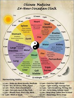 Meridian Clock, Chinese Body Clock, Energy Movement, Chi Energy, Eastern Medicine, Body Clock, Reiki Symbols, Energy Medicine, Qi Gong