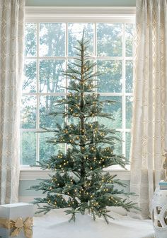 King of Christmas 8' King Noble Fir Artificial Christmas Tree with 600 Warm White LED Lights King Noble Fir Christmas Tree, Artificial Christmas Tree Decorating, Silver Christmas Trees, Noble Fir Christmas Tree, Noble Fir Tree, Southwest Christmas, Chirstmas Decor, Slim Christmas Tree, Fir Christmas Tree