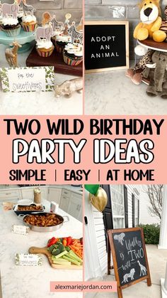 two wild birthday party ideas simple and easy at home