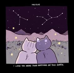 two cats looking at the stars in the night sky with caption that reads, i love you more than anything on this earth