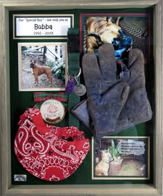 a display case with an assortment of items including gloves, and other things in it