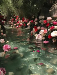 many pink and white flowers floating on top of the water in a river next to trees